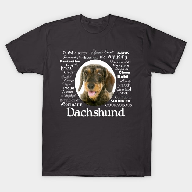 Wirehaired Dachshund Traits T-Shirt by You Had Me At Woof